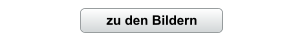 zu den Bildern