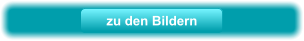 zu den Bildern