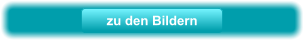 zu den Bildern